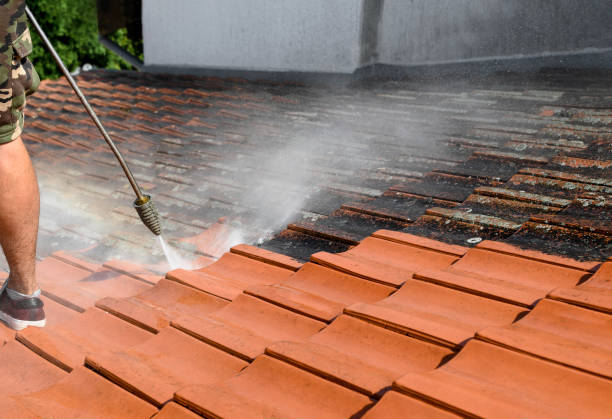 Professional Pressure Washing in Steele Creek, AK