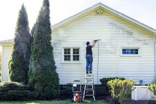 Pressure Washing Contractors in Steele Creek, AK