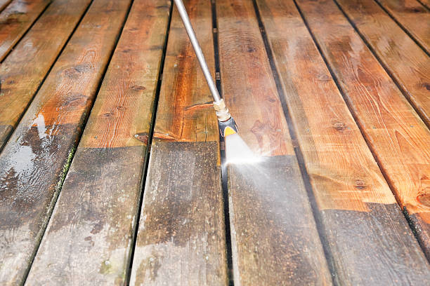 Roof Power Washing Services in Steele Creek, AK