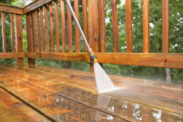 Best House Pressure Washing  in Steele Creek, AK