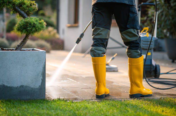 Best Deck Pressure Washing  in Steele Creek, AK